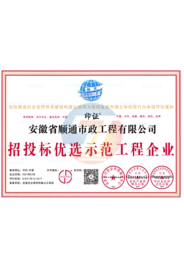 招投標(biāo)優(yōu)選示范工程企業(yè)
