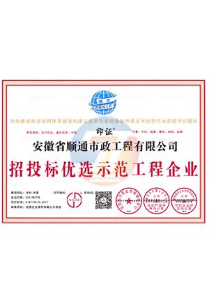 招投標(biāo)優(yōu)選示范工程企業(yè)